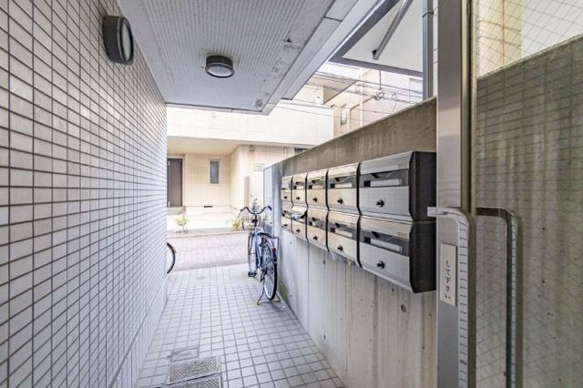 ���̑� ���L����